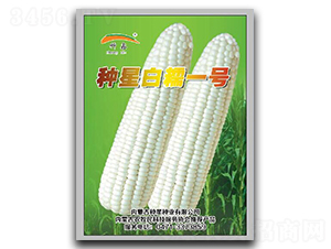 �N�ǰ�Ŵ1̖-Ŵ���׷N��-�N�ǷN�I(y��)