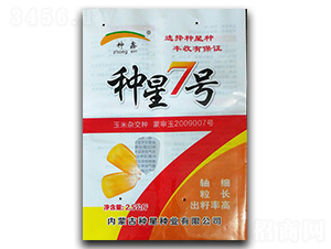 種星7號(hào)-玉米種子-種星種業(yè)