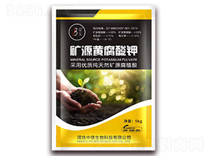 �VԴ�S�����-��������