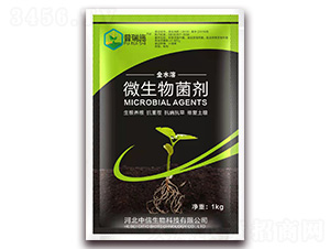 ΢�������-��������