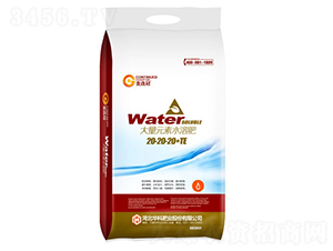 ����Ԫ��ˮ�ܷ���20-20-20+TE-���B��-�A�ƷʘI(y��)