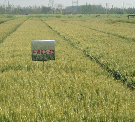 �P(y��ng)ݗ��9̖(h��o)-С���N��-������