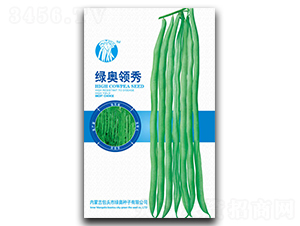 綠奧領(lǐng)秀-蕓豆種子-綠奧