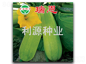 ���-�����J�N��-��Դ�N�I(y��)