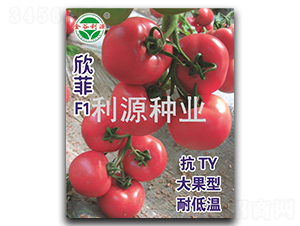 ����-���ѷN��-��Դ�N�I(y��)