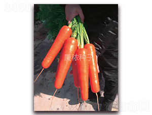 ��d898-���}���N��-�B���r(n��ng)�I(y��)