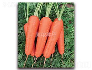 혺�-���}���N��-�B���r(n��ng)�I(y��)