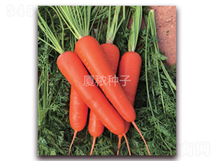 ��(��i)����909-���}���N��-�B���r(n��ng)�I(y��)