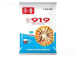 ����919-�����s���N-Ԭ���r(n��ng)�I(y��)