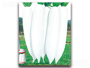 �°����}��-���}���N��-�A�r(n��ng)�N�I(y��)