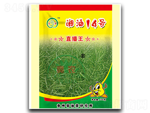 ����14̖-�Ͳ˷N��-���r(n��ng)