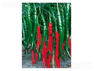 ����88-�����N��-���r(n��ng)