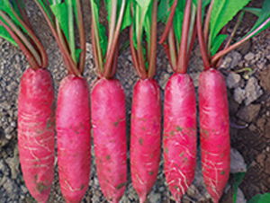 ӳ���t-�}���N��-�G����