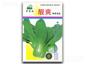 �nˬ-��˷N��-�G����