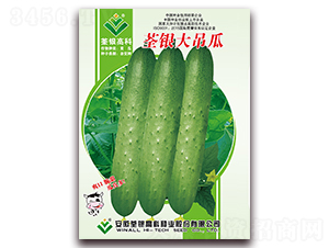 ���y�����-�S�ϷN��-���y�ϲ�