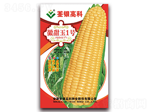 ������1̖-�����׷N��-���y�ϲ�