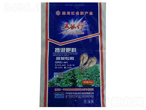 ��ˌ��Ó������-���_(d��)��