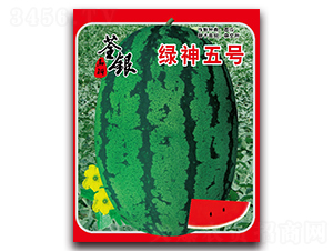 �G����̖(h��o)-���ϷN��-���y�ϲ�