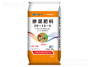 �������20-16-6-ʢ�S�ʘI(y��)