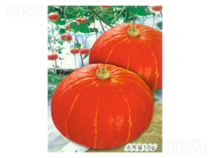 �����Ϲ�-�ϹϷN��-������