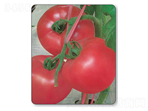 �W��-���ѷN��-������