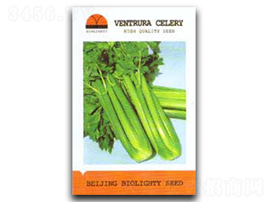 �����ĈD��2̖-�۲˷N��-������