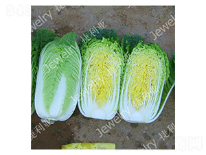 ����֮��-�ײ˷N��-������