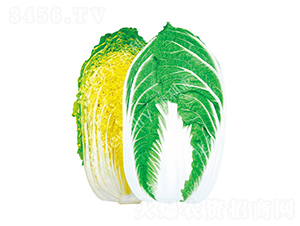 CR����-�ײ˷N��-������