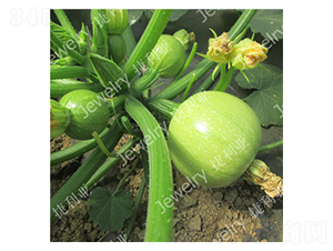 ����141-�����J�N��-������