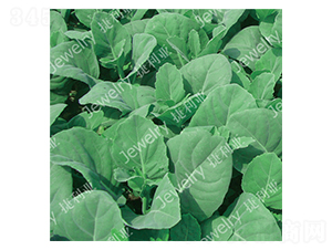 �݌�3̖-���{(l��n)�N��-������