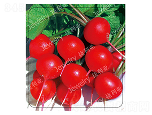 ����(y��u)4̖(h��o)-�����}���N��-������