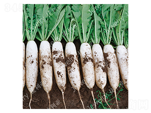 ������-�}���N��-������