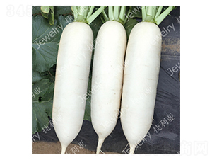 ������158-�}���N��-������