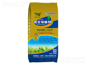 40kg΢�������-��ʢ�μ�