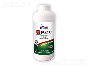 �}�����~���-�����r(n��ng)