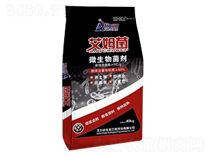 ΢�������-��ķ��-�����r(n��ng)