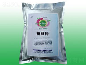 ���v���Ƅ�-��������