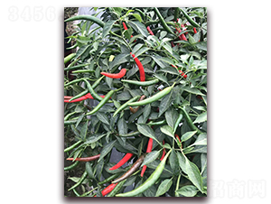 ʥ�r(n��ng)�t��ʯ10̖(h��o)���콷-���콷�N��-ʥ�r(n��ng)�߿�