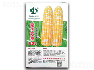 Ȫ��(y��u)�p��803-Ŵ���׷N��-����N��