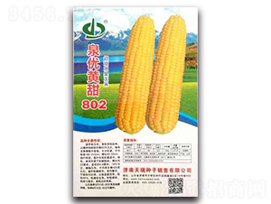 Ȫ��(y��u)�S��802-Ŵ���׷N��-����N��