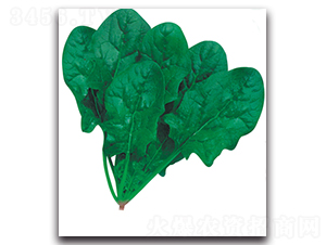 �t�t���-���˷N��-����N��