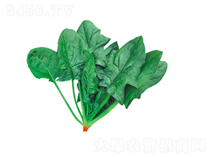 �G��107-���˷N��-����N��