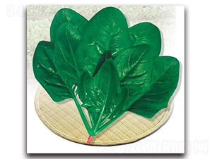 ���m����-���˷N��-����N��