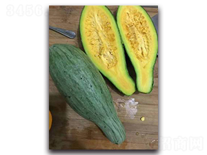 �y����-�ϹϷN��-����N��