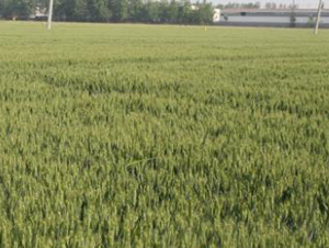 �r(n��ng)��1̖(h��o)-С���N��-���r(n��ng)���S