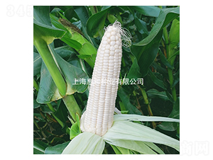 ����Ŵһ̖-Ŵ���׷N��-�ݺͷN�I(y��)