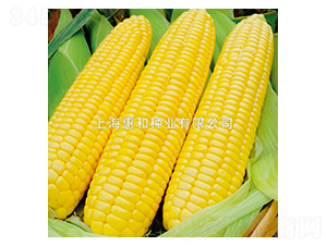 ������̖-���׷N��-�ݺͷN�I(y��)