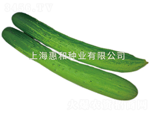 ��(ji��)�ɰ��-�S�ϷN��-�ݺͷN�I(y��)