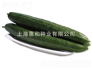 �S�s��̖(h��o)-�S�ϷN��-�ݺͷN�I(y��)