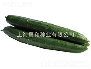 ��G��(ji��)����̖(h��o)-�S�ϷN��-�ݺͷN�I(y��)